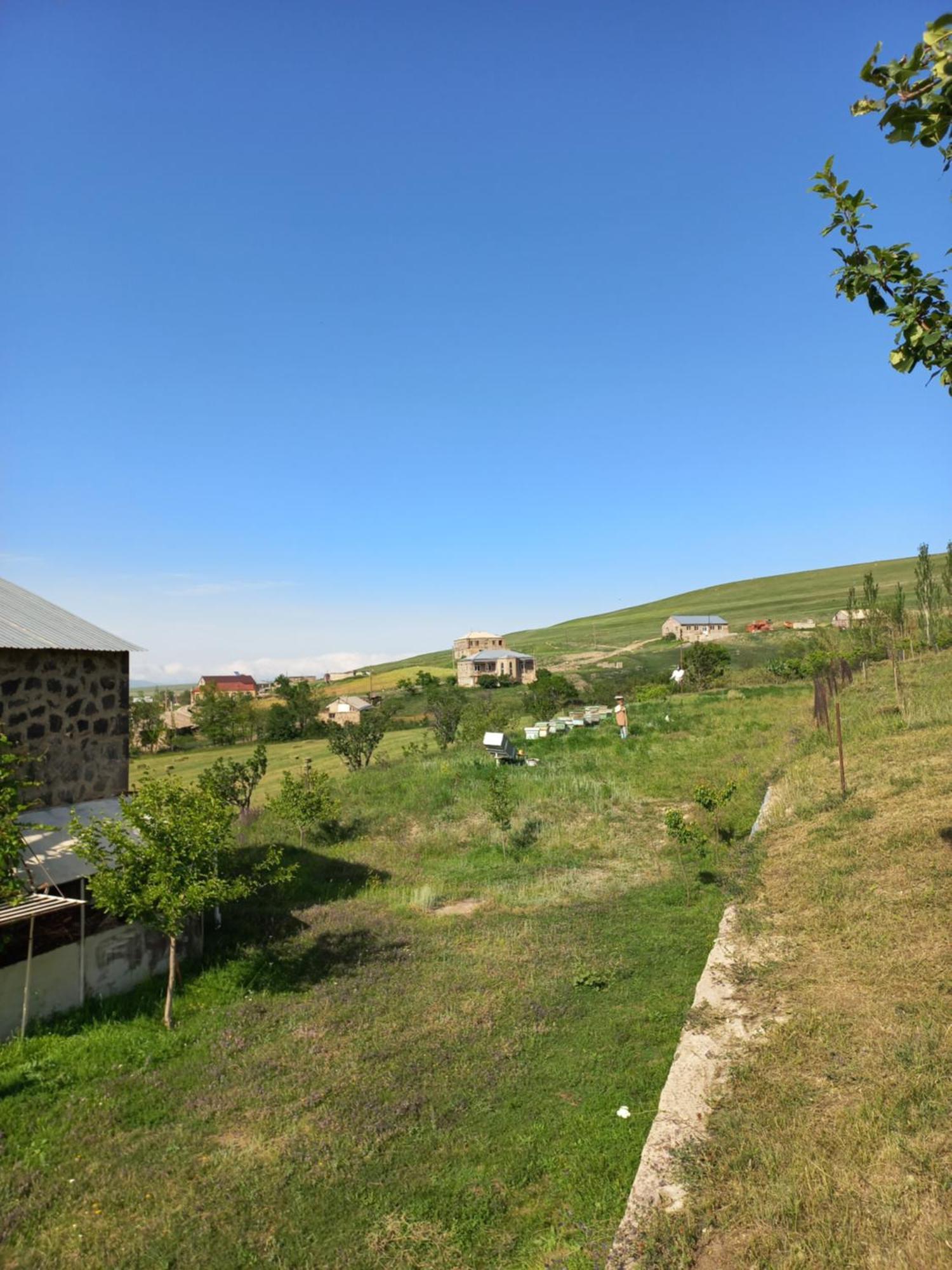 Artsvakar Guest House Arevik חדר תמונה